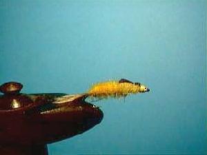 Fiche de montage : Nymphe de mouche de mai