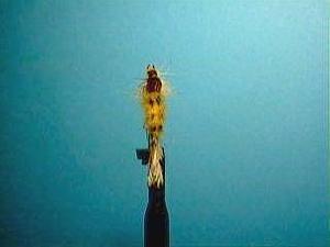 Montage de mouche
