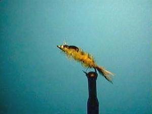 Montage de mouche