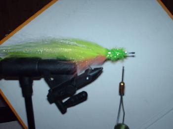 Montage de mouche