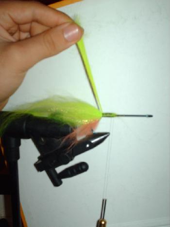 Montage de mouche