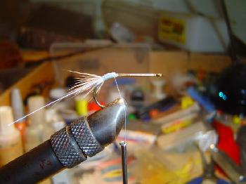 Montage de mouche
