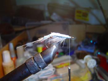 Montage de mouche
