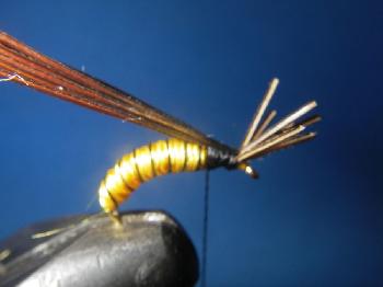 Montage de mouche