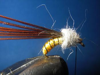 Montage de mouche