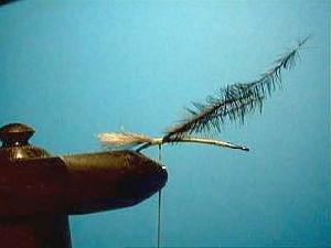 Montage de mouche