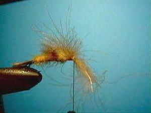 Montage de mouche