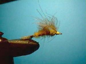 Montage de mouche