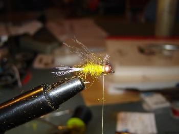 Montage de mouche
