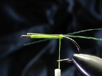 Montage de mouche