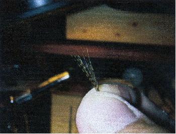 Montage de mouche