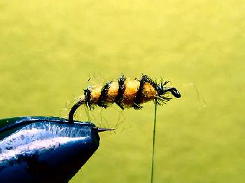 Montage de mouche