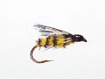 Fiche de montage : La Parapeacok