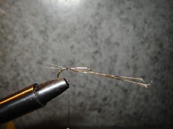 Montage de mouche