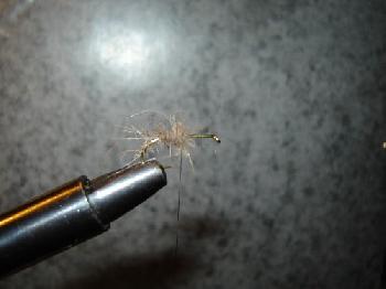Montage de mouche
