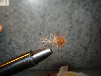 Montage de mouche