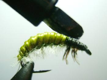 Montage de mouche