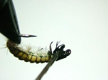 Montage de mouche