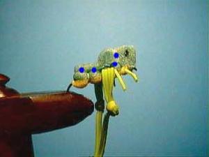 Montage de mouche