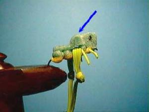 Montage de mouche