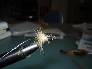Montage de mouche