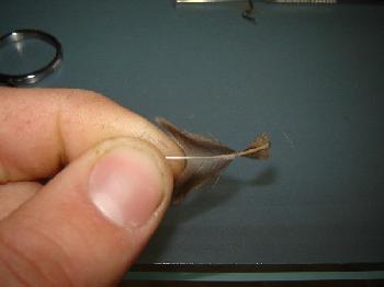 Montage de mouche