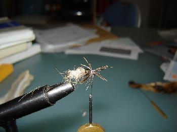 Montage de mouche