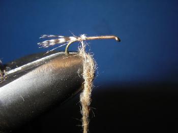 Montage de mouche