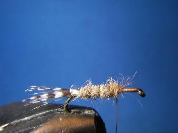 Montage de mouche