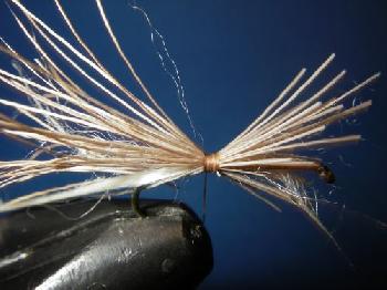 Montage de mouche