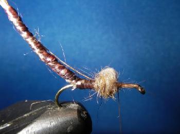 Montage de mouche