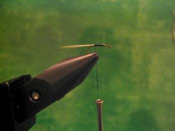 Montage de mouche