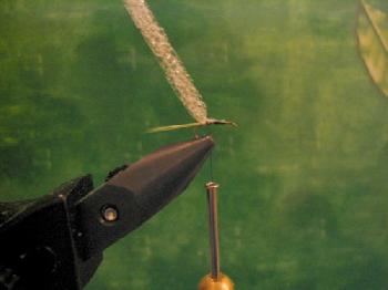 Montage de mouche