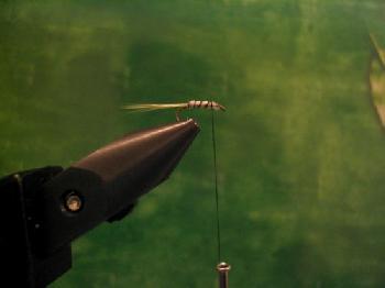 Montage de mouche