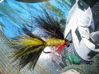 Montage de mouche