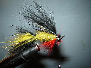 Streamer d Streamer d