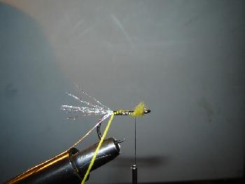 Montage de mouche