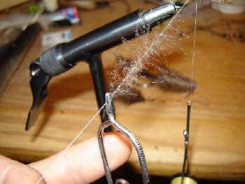 Montage de mouche
