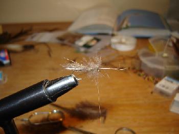 Montage de mouche
