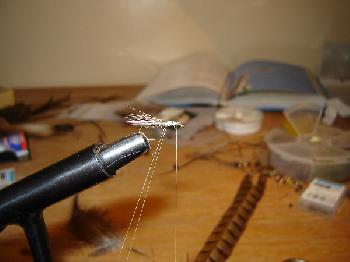 Montage de mouche