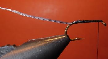 Montage de mouche