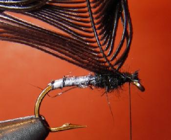 Montage de mouche