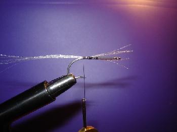 Montage de mouche