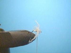 Montage de mouche