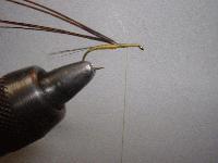 Montage de mouche
