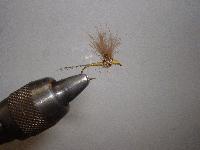 Montage de mouche