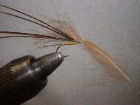 Montage de mouche