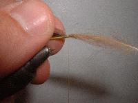 Montage de mouche