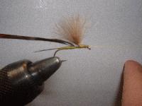 Montage de mouche