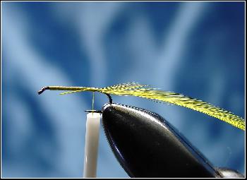Montage de mouche
